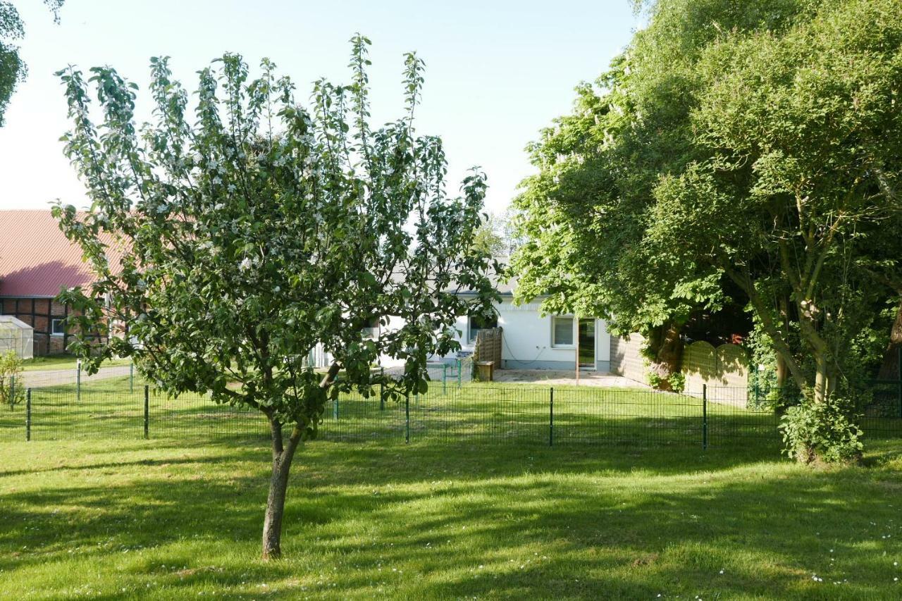Ferienhaus - 135 Qm - Naehe Insel Poel Ostsee Damekow 外观 照片